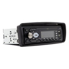 Radioram Peugeot 206