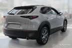 Bakluckelist Mazda CX-30 2019+ – Silver satin | AVISA - Carlevel AB - Bakluckelist